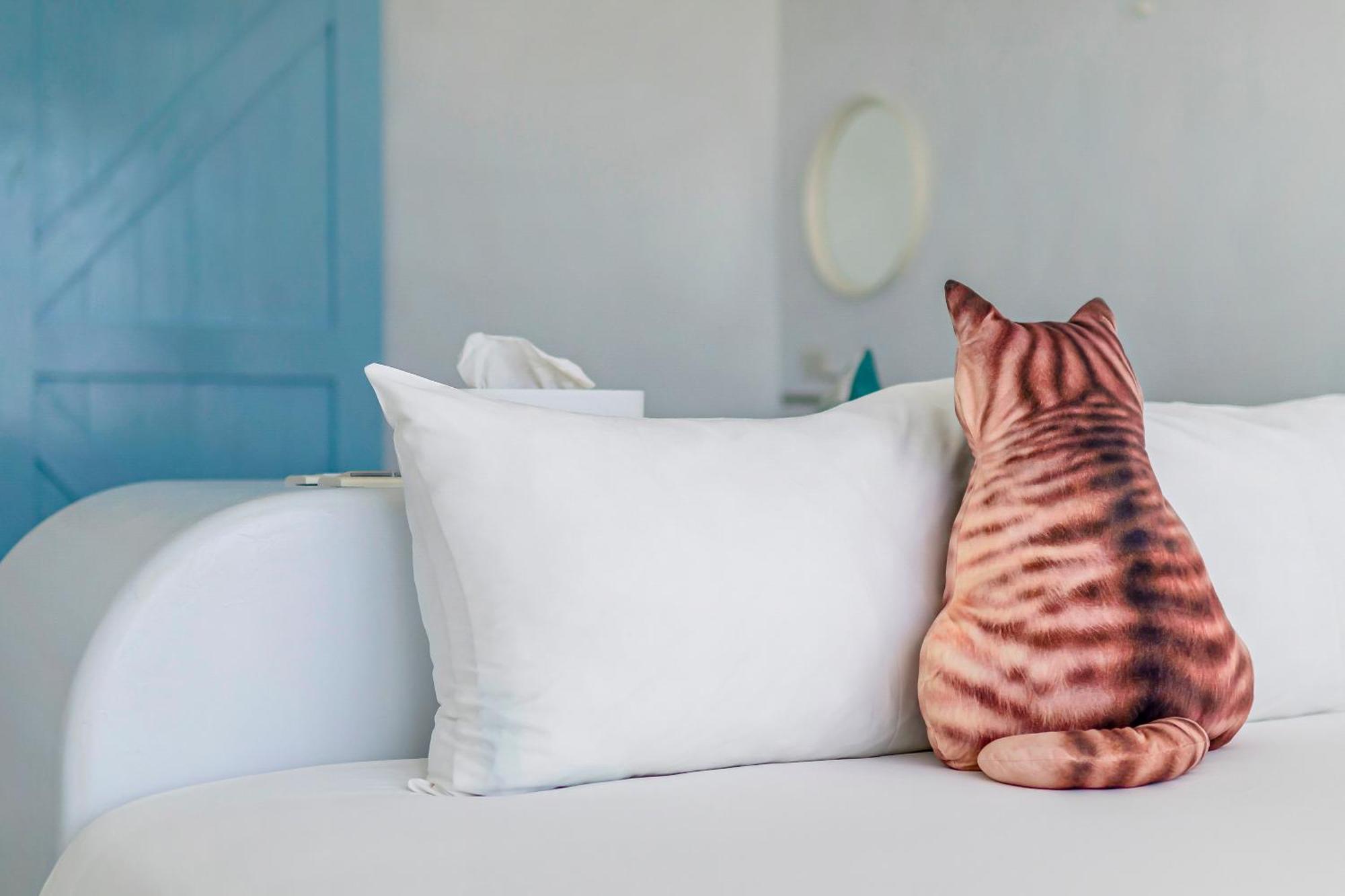 Cat At Greece Bed & Breakfast Нануан Екстериор снимка