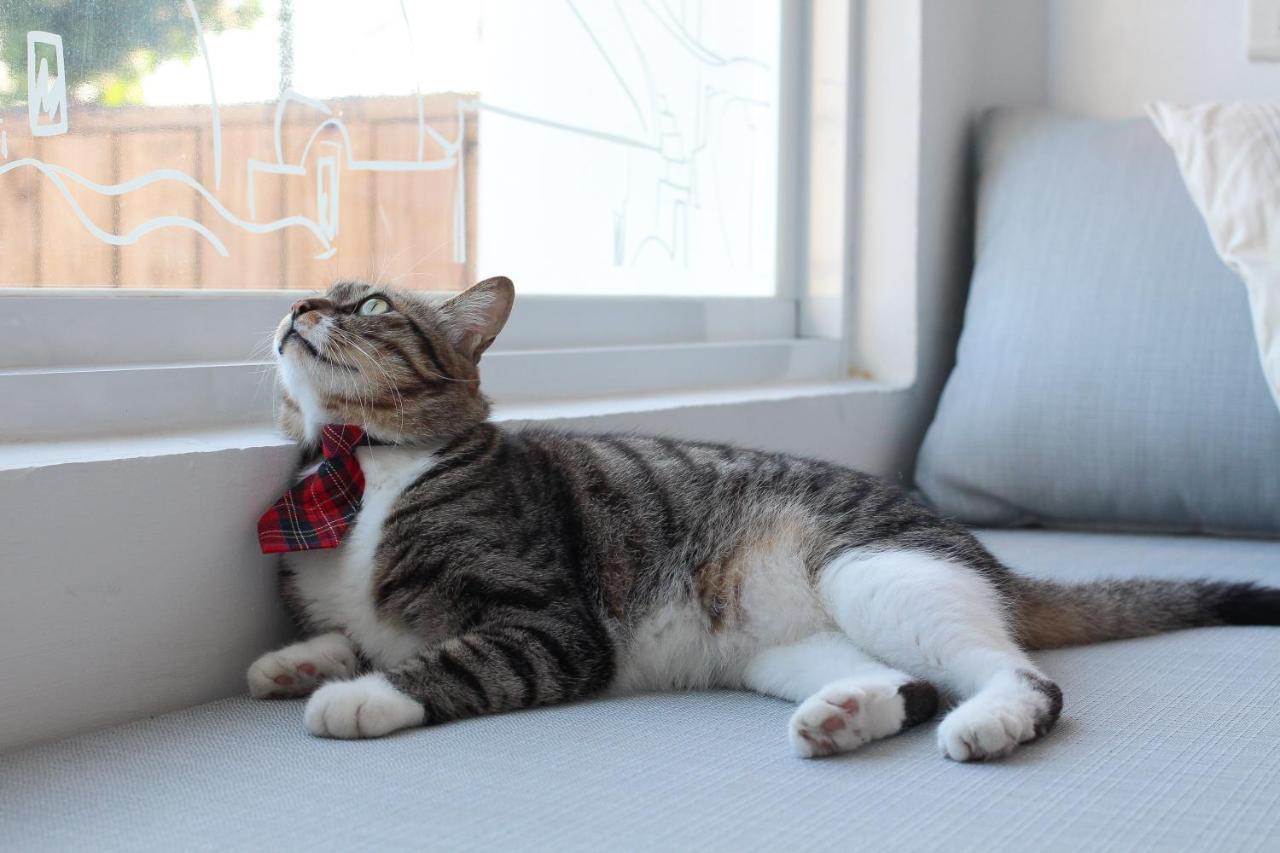 Cat At Greece Bed & Breakfast Нануан Екстериор снимка